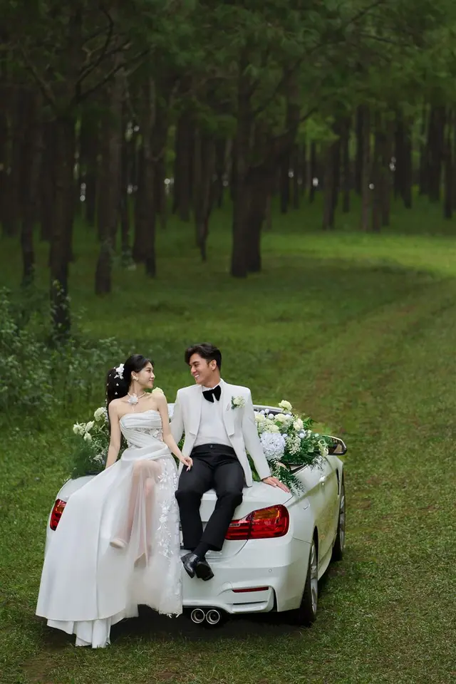 Concept ngoại cảnh rừng thông — ảnh 2