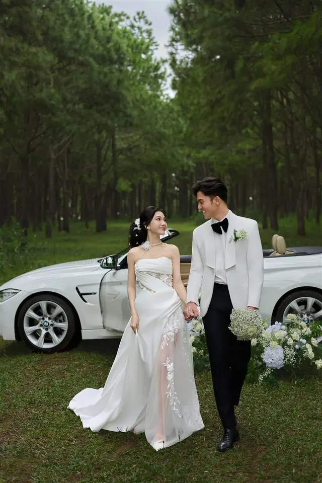 Concept ngoại cảnh rừng thông — ảnh 5