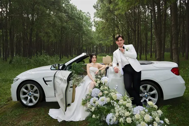 Concept ngoại cảnh rừng thông — ảnh 6